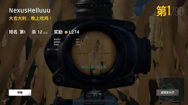 pubg国服为什么不过审