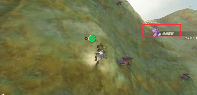 塞尔达传说速速蘑菇在哪拿_塞尔达荒野之息游戏内速速蘑菇在哪找到