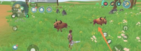 创造与魔法手游牛角怎么获得