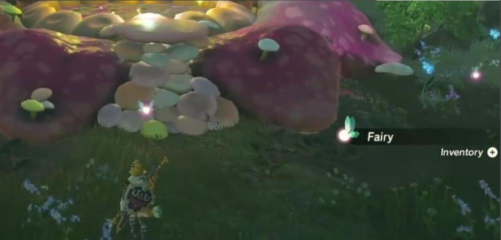 塞尔达传说精灵多久刷新一次