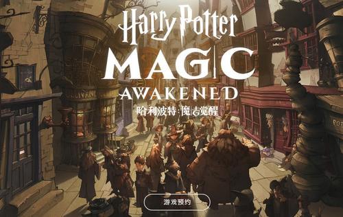 哈利波特顽皮守护者怎么打