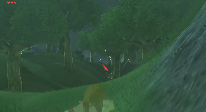 塞尔达传说怎么打猎野猪_塞尔达传说荒野之息中如何狩猎野猪