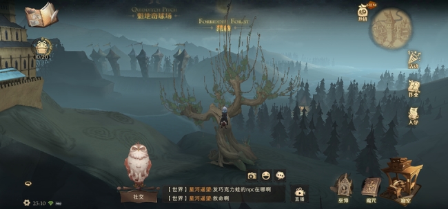 哈利波特：魔法觉醒幸运值怎么弄