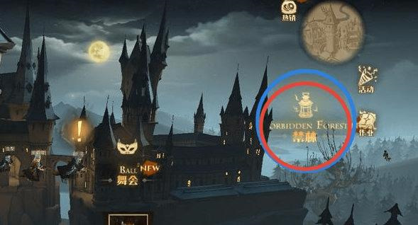 哈利波特：魔法觉醒赫敏的回响怎么获得