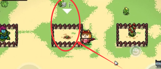 元气骑士手游萝卜bug怎么卡