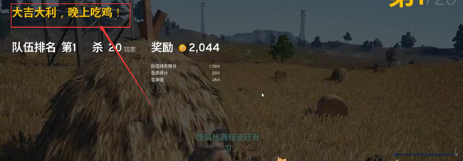 晚上吃鸡是什么游戏