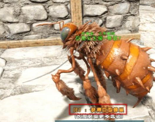 方舟生存进化巨型蜂蜜怎么获得_方舟生存进化巨型蜂蜜获取方法