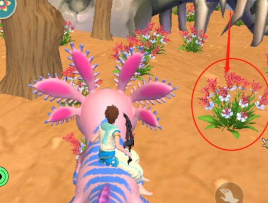 创造与魔法手游胡椒在哪