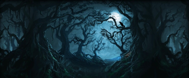 哈利波特：魔法觉醒贝拉回响怎么获得