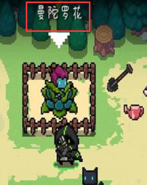 元气骑士手游曼陀罗花种子有什么用_元气骑士手游曼陀罗花种子的用途介绍