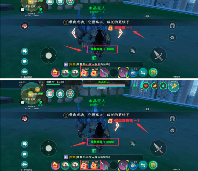 创造与魔法手游怎么提升宠物经验最快