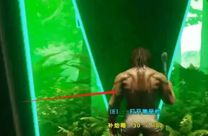 swich方舟怎么开补给