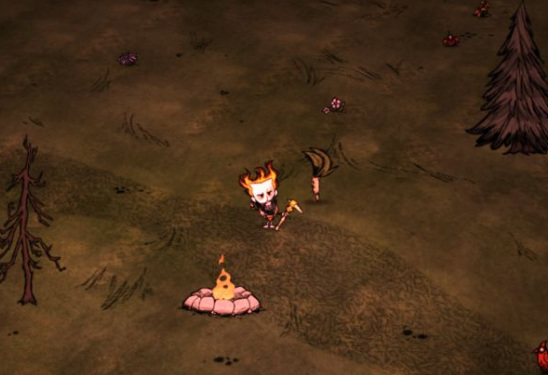 饥荒曼德拉草有什么用_曼德拉草在游戏饥荒中的用处