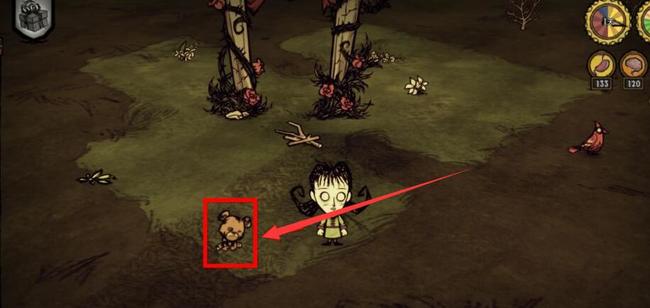 饥荒纵火者的小熊有什么用