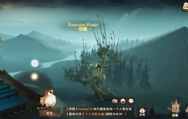 哈利波特打人柳可以打几次