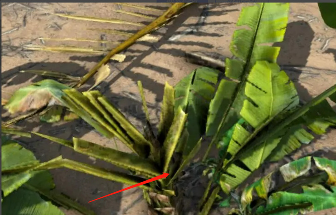 方舟里面纤维如何获取_方舟生存进化中如何采集纤维