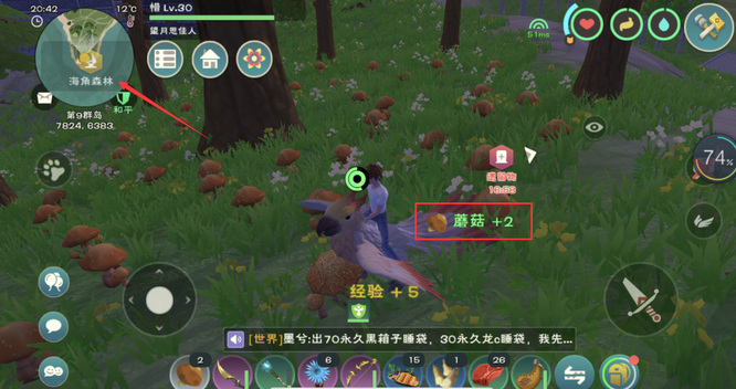 创魔蘑菇什么位置最多