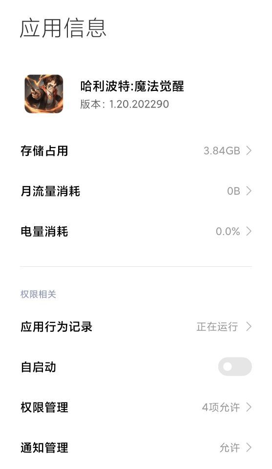 哈利波特：魔法觉醒需要多少内存