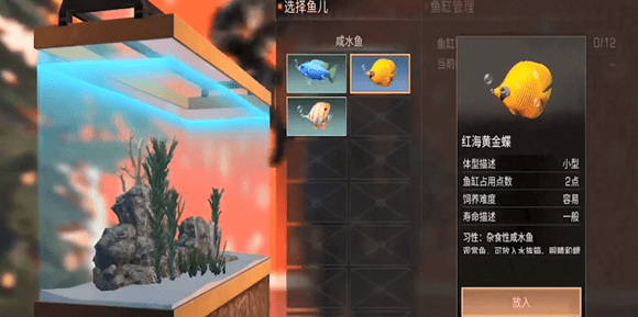 明日之后手游不充钱能做水族箱吗