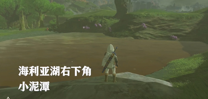塞尔达传说速速蘑菇在哪拿_塞尔达荒野之息游戏内速速蘑菇在哪找到