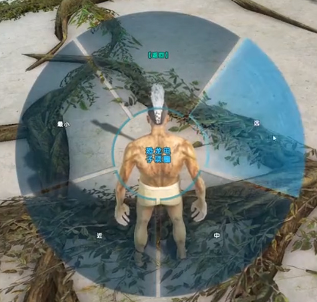 方舟自动巡逻有范围吗