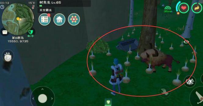 创造与魔法手游洋葱的位置在哪里_魔法洋葱的位置在哪里创造与魔法手游