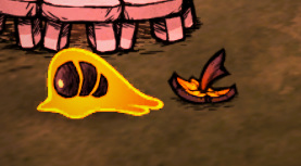 饥荒冷冻虫卵怎么获得