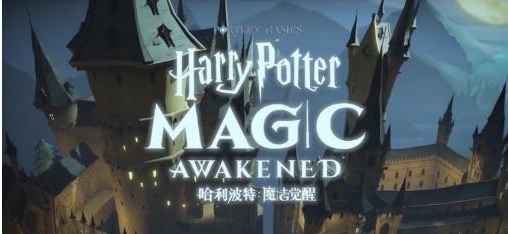 哈利波特芙蓉挑战了什么龙