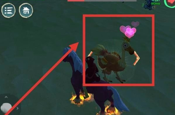 创造与魔法手游陆行鸟怎么驯服_创造与魔法手游中如何驯服魔法陆行鸟