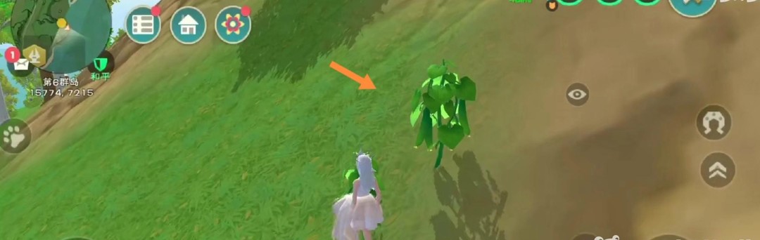 创造与魔法手游黄瓜位置在哪_创造与魔法手游中魔法黄瓜的位置在哪里