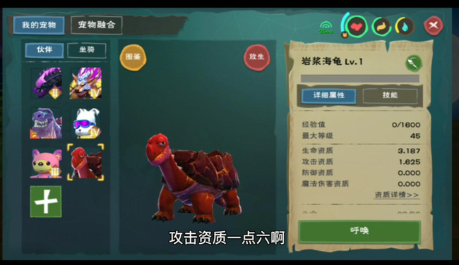 创造与魔法手游火龟在哪_创造与魔法手游中如何找到魔法火龟