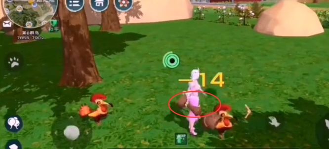 创造与魔法手游鸡怎么捕捉