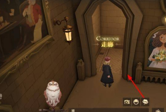 哈利波特波特拼图为什么他们能实地练习黑魔法防御术位置在哪_哈利波特魔法觉醒手游中黑魔法防御术练习位置揭秘