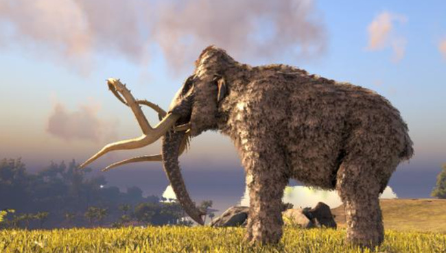 方舟生存进化猛犸象吃什么饲料