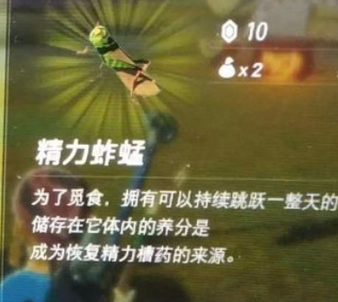 塞尔达传说精力蚱蜢在哪里抓