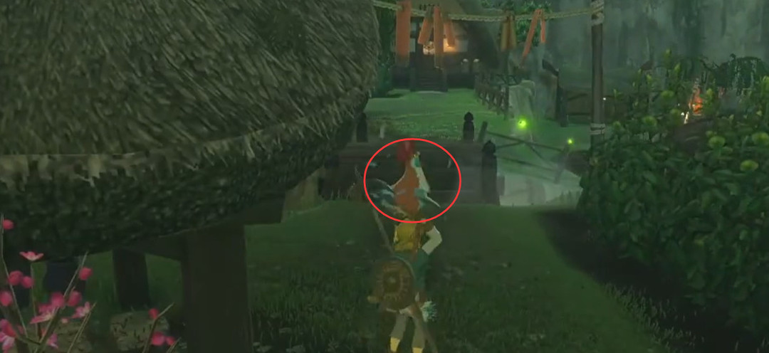 塞尔达传说小咕咕鸡一直少一只怎么办_塞尔达传说荒野之息中的小咕咕鸡怎么办