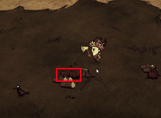 饥荒圣诞树怎么种_饥荒中如何种植圣诞树