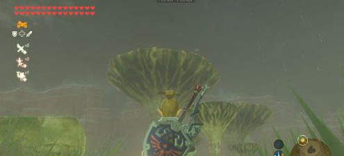 米达·罗基神庙怎么过