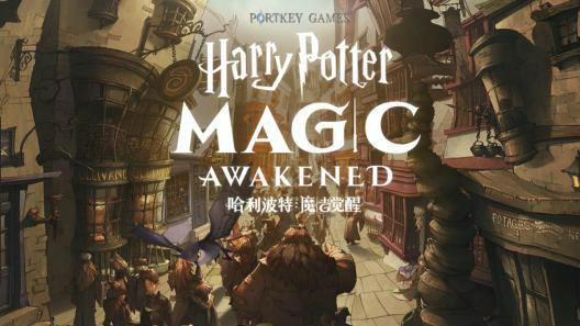 哈利波特魔法觉醒有求必应屋进不去怎么办