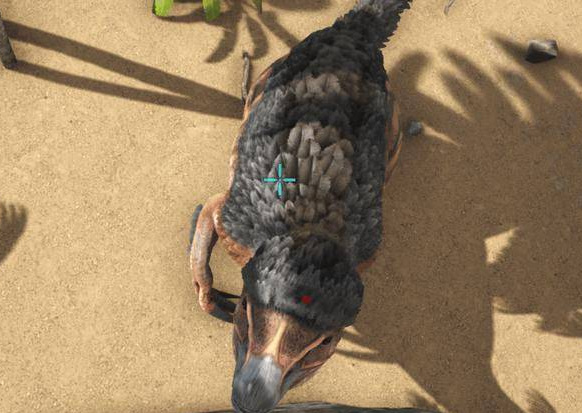 方舟生存进化龙蛋饲料配方有哪些_方舟生存进化龙蛋饲料配方大揭秘