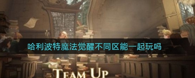 哈利波特魔法觉醒不同服可以一起玩吗