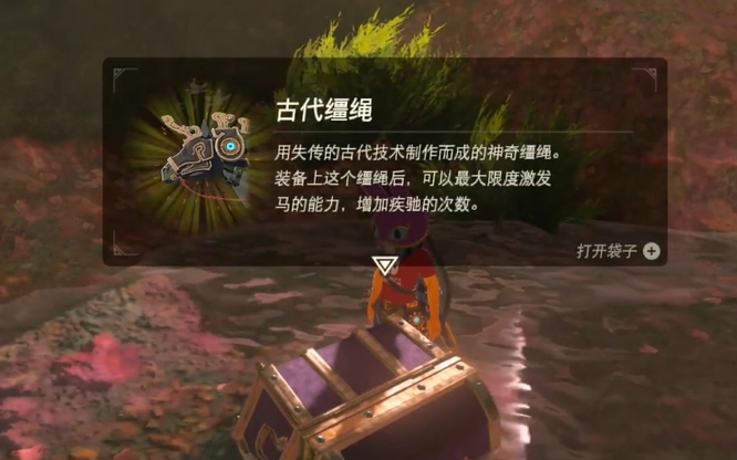 塞尔达传说给马吃什么永久加体力