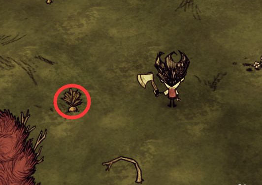 饥荒前期怎么回血