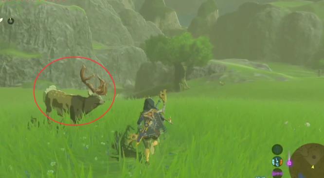 塞尔达传说阿拉布平原上的神庙怎么打开_神秘的神庙荒野之息谜题解析