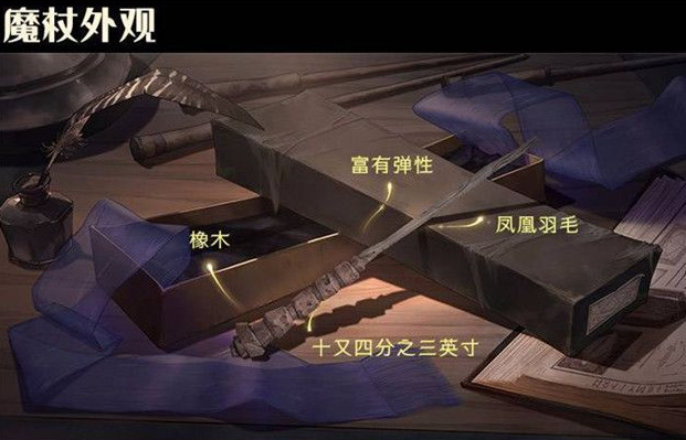 哈利波特：魔法觉醒橡木魔杖是谁的