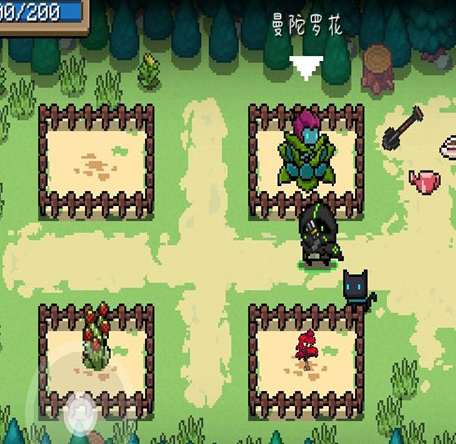 元气骑士手游曼陀罗花有什么用_元气骑士手游解密曼陀罗花的妙用