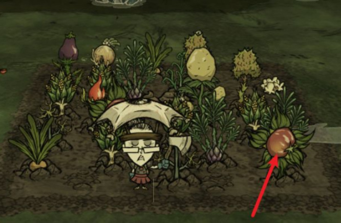 饥荒怎么耕地_饥荒之中熟悉土地耕作的技巧