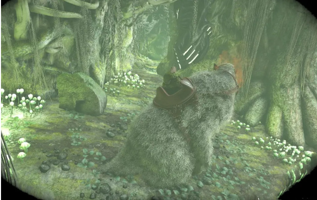 方舟怎么刷等级_方舟生存进化快速提升等级攻略