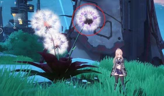 幻塔手游紫色的花怎么开_幻塔手游揭开紫色花开的神秘面纱