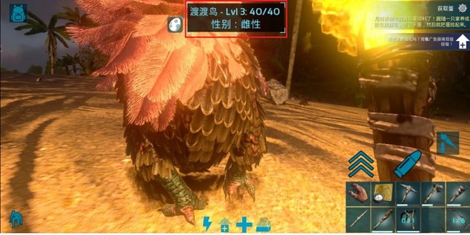 方舟生存进化渡渡鸟羽毛怎么获得